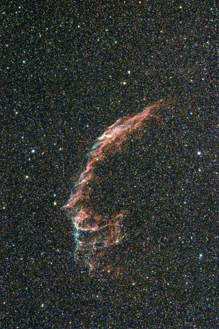 NGC6992 網状星雲_si9 のコピー-1-2.jpg